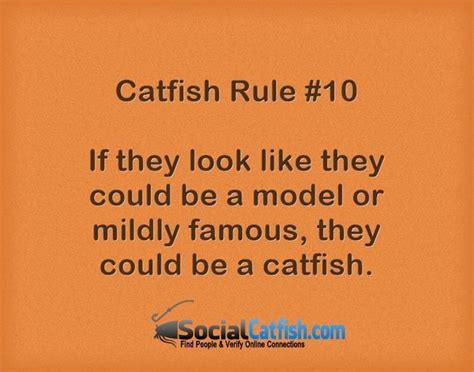 catfish quotes|Catfish Quotes .